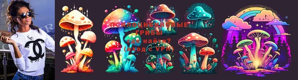 хмурый Богданович