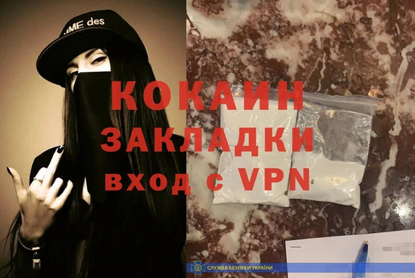гидра Богородицк