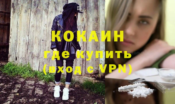 гидра Богородицк