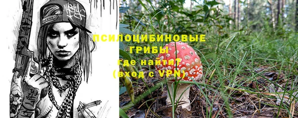 хмурый Богданович
