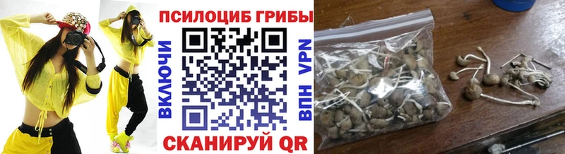 MEGA ONION  Армавир  Галлюциногенные грибы GOLDEN TEACHER  где можно купить  